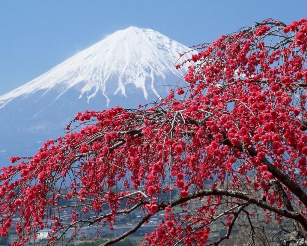 Rondreis door Japan